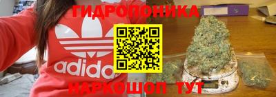 спиды Можга
