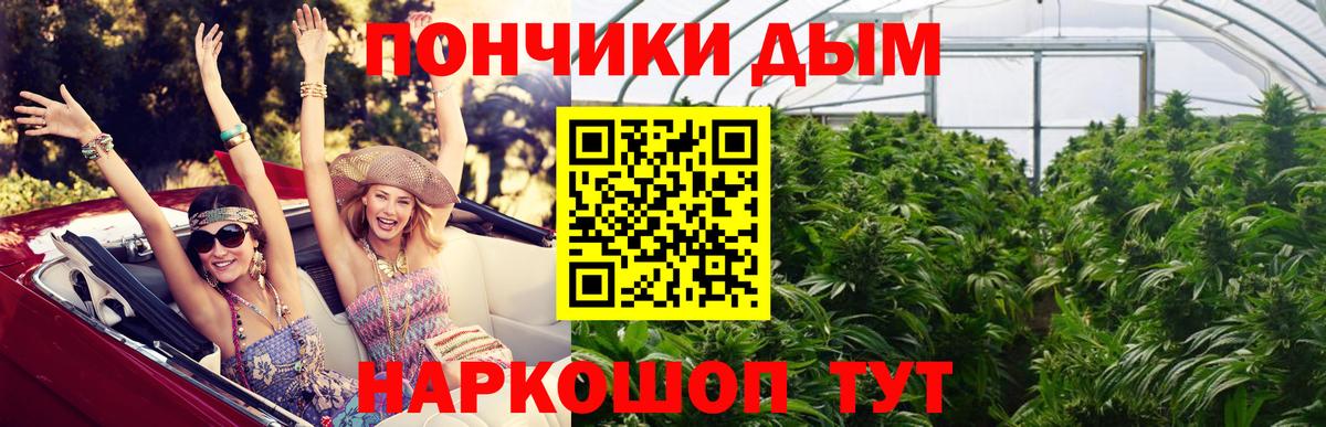 Бошки марихуана гибрид Гурьевск